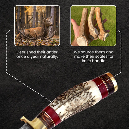 ANTLER KITCHEN KNIFE